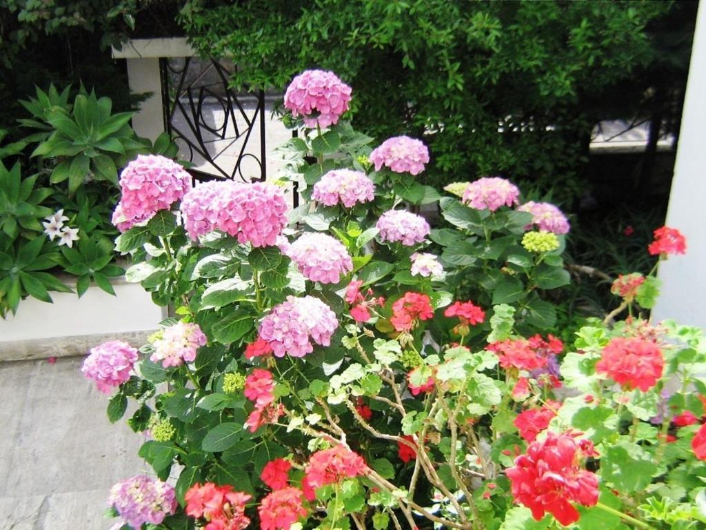 B&B Il Giardino Di Villa Anna Треказе Экстерьер фото