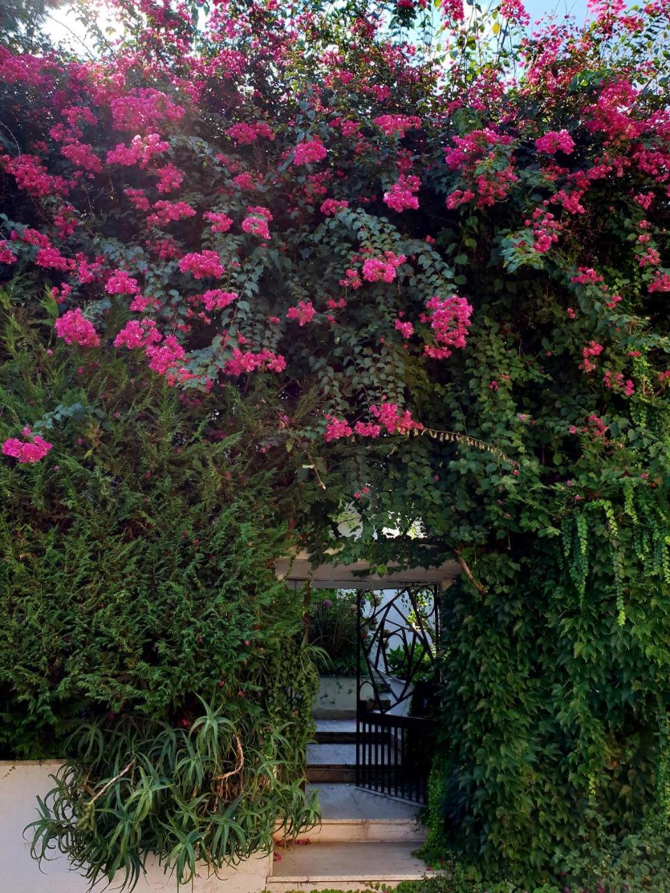 B&B Il Giardino Di Villa Anna Треказе Экстерьер фото